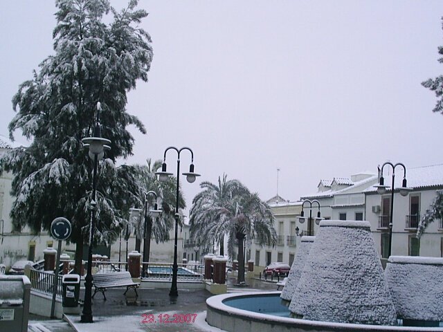 Paseo viejo - nevada 2007.12.29
